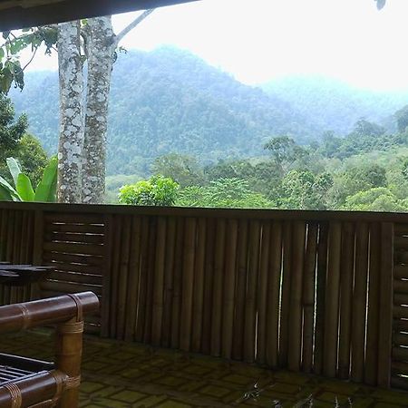 Batu Kapal Jungle Houses Otel Berastagi Dış mekan fotoğraf